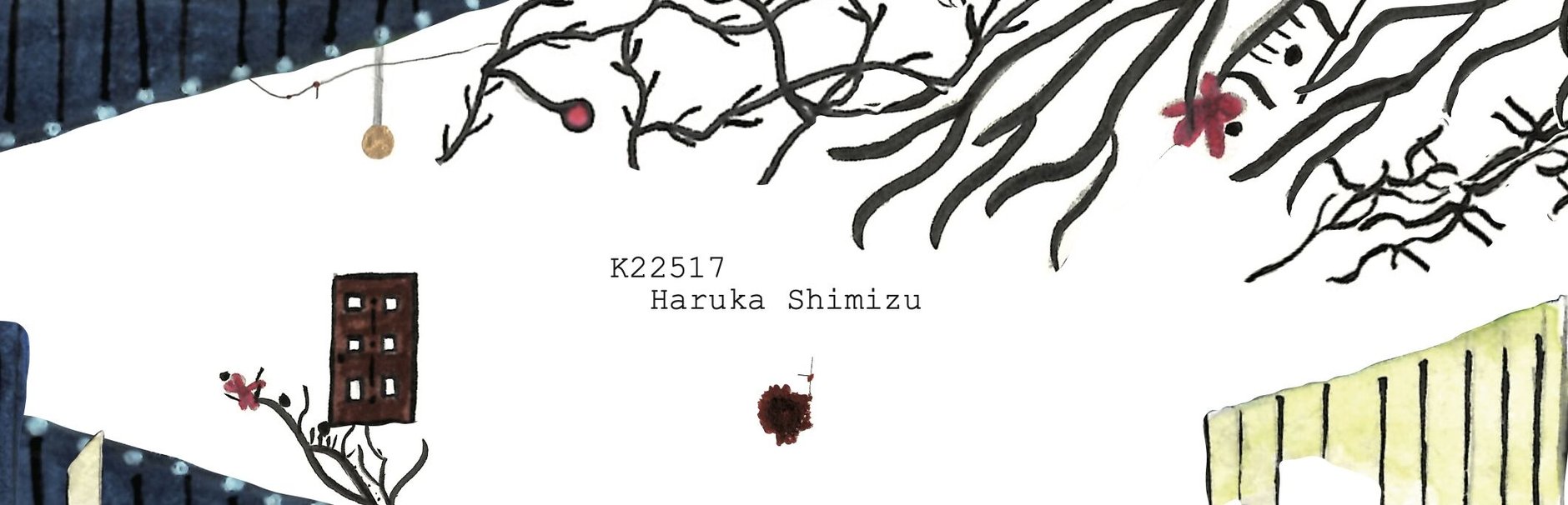 Haruka Shimizu