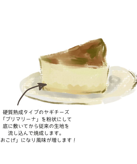 FUMOTO CHEESECAKE ヤギミルクのバスクチーズケーキ　12cmホール　【冷凍】