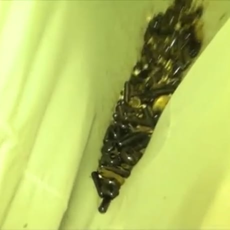 天の扉開き　黄金のレクライ　トンプラライ　中サイズ　神聖物