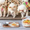 愛犬用マルゲリータささみ