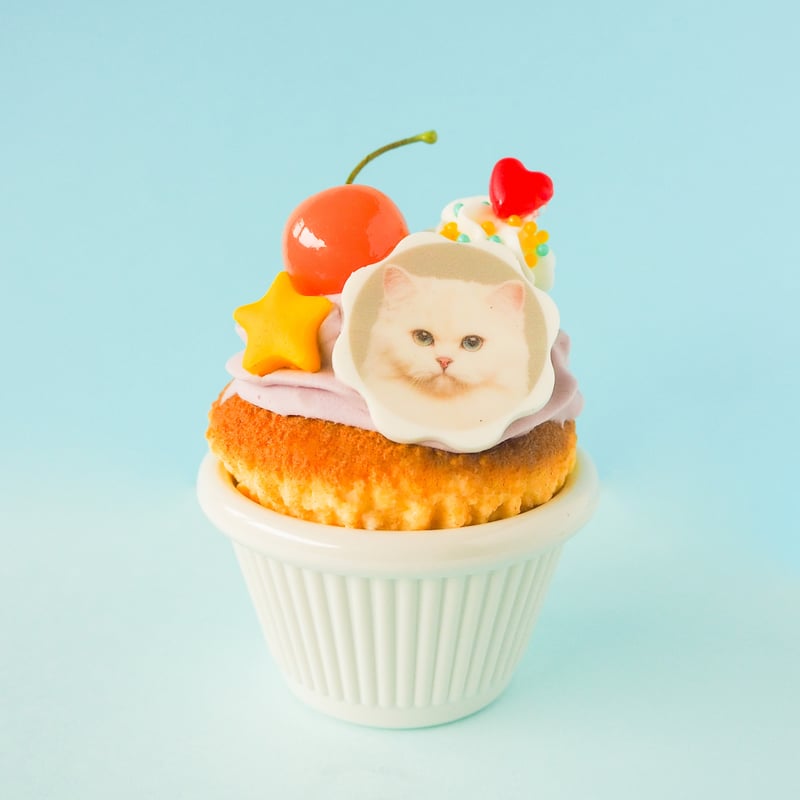 【最終値下げ】LINDA TOKYO♥ファンシー アイスクリーム 小物入れ 最終値下げ】LINDA TOKYO♥ファンシー アイスクリーム 小物入れ