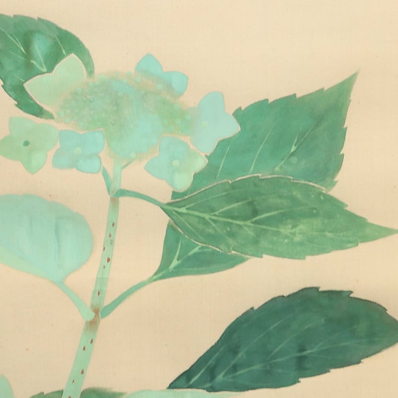 221 加藤晨明「紫陽花」 絹本 肉筆 中村岳陵師事 愛知の人 掛軸 | 三梨