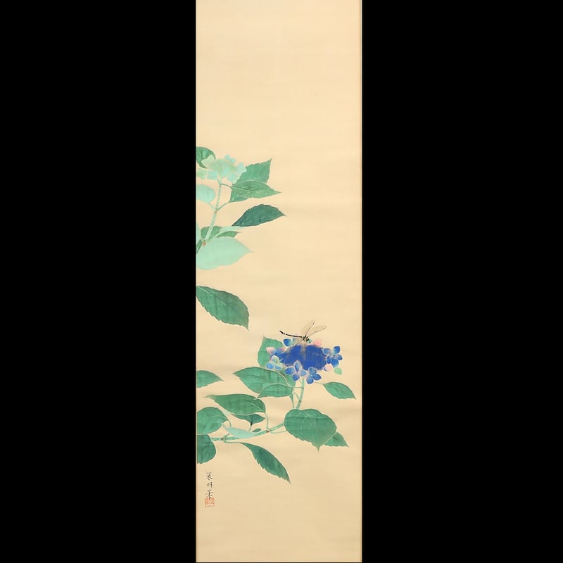221 加藤晨明「紫陽花」 絹本 肉筆 中村岳陵師事 愛知の人 掛軸 | 三梨
