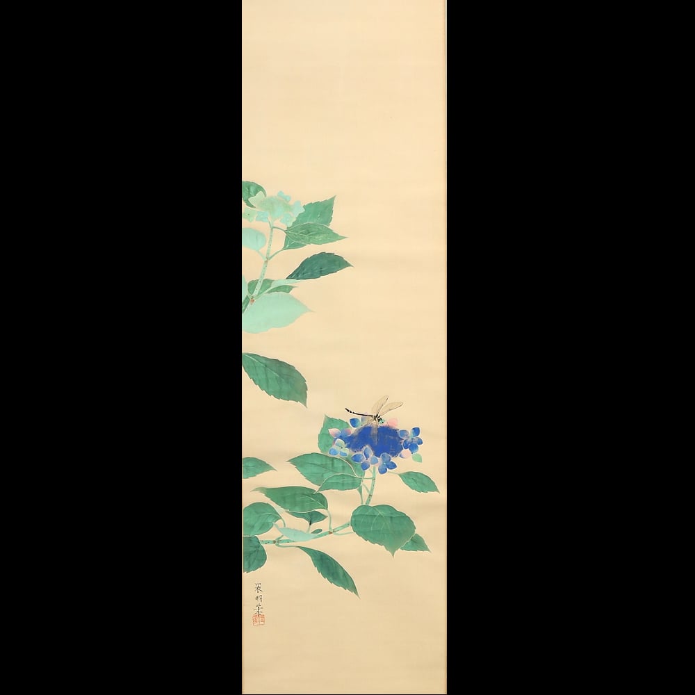221 加藤晨明「紫陽花」 絹本 肉筆 中村岳陵師事 愛知の人 掛軸 | 三梨