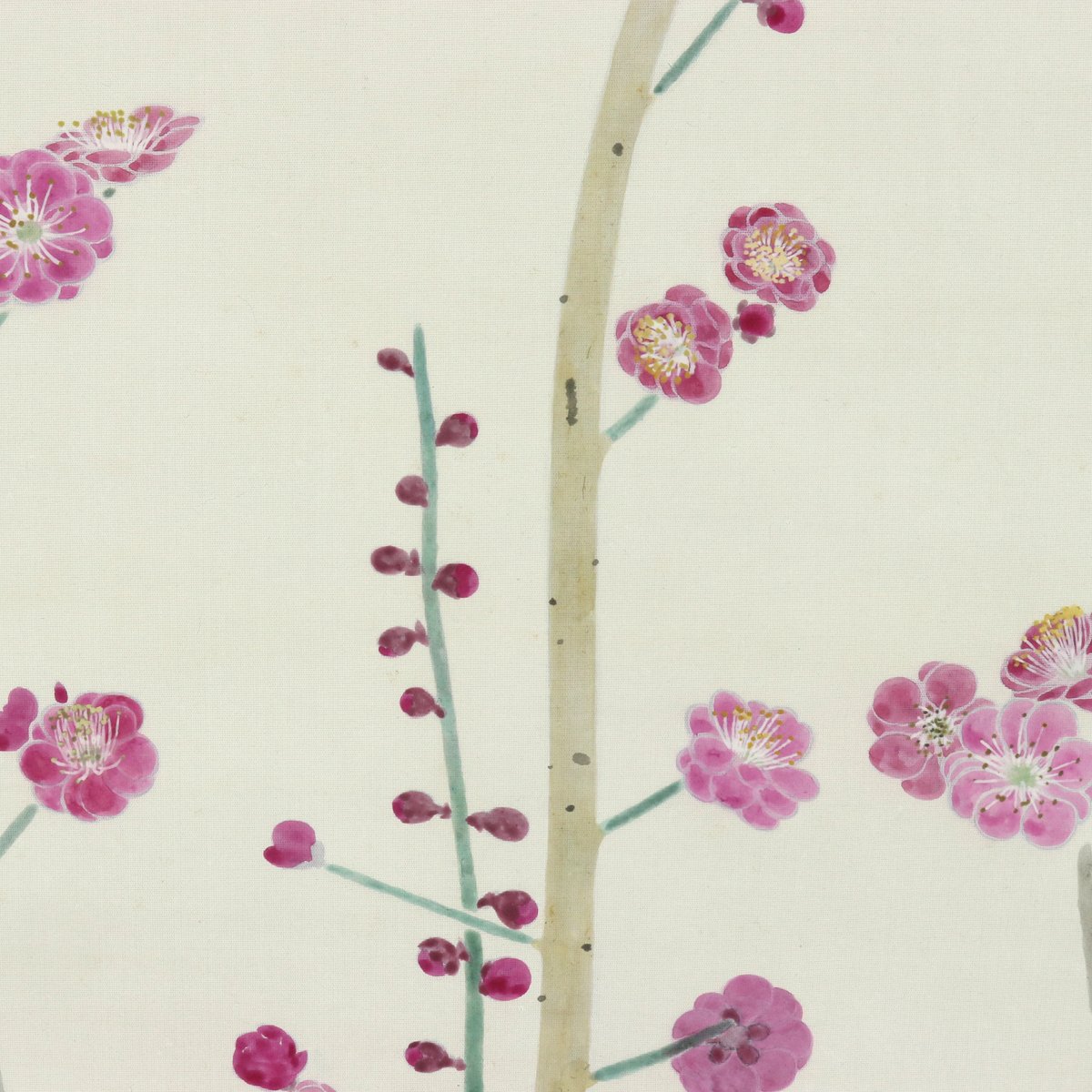 57 森 緑翠 「紅梅」 共箱 絹本 中村岳に師事 一采社に参加 白士会会員