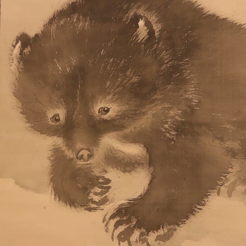 249 望月 金鳳 「熊図」 絹本 肉筆 大坂平野町出身 明治時代に活躍した