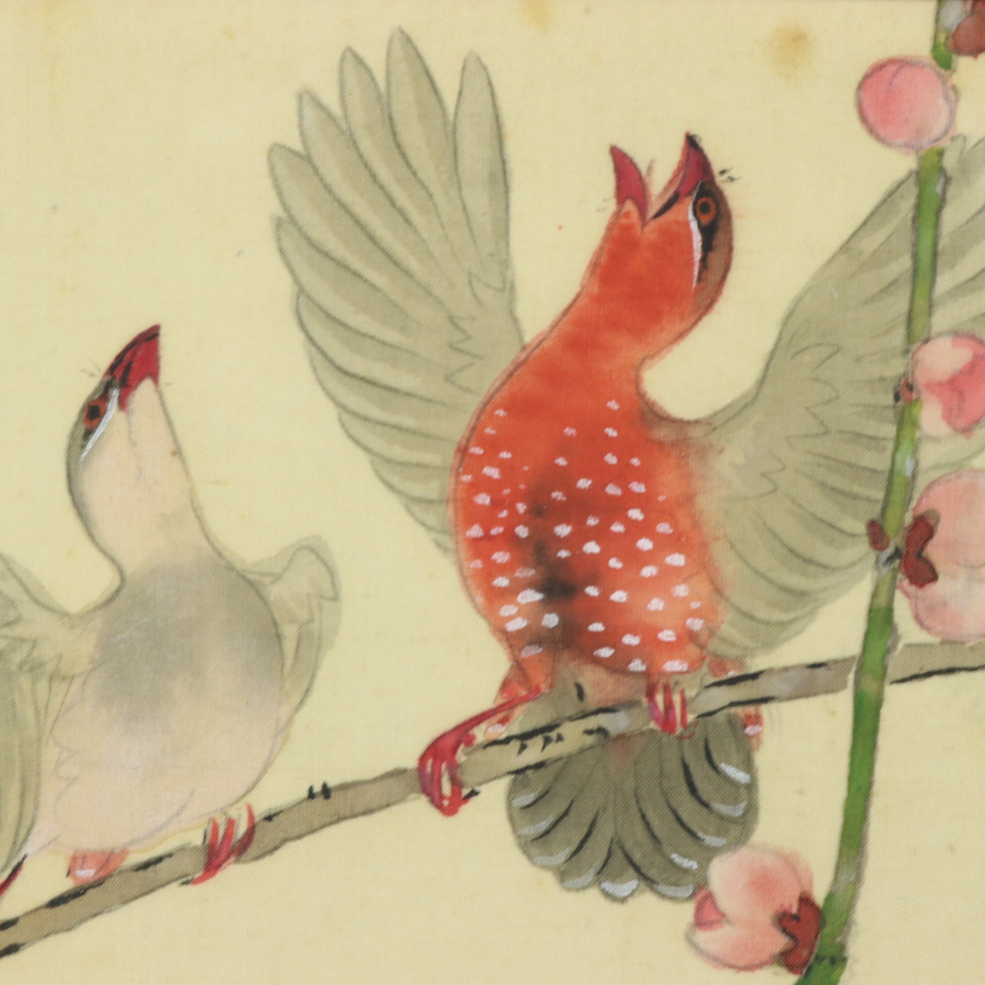 64 上村松篁 「紅雀」 肉筆 絹本 共箱 上村松園 日本芸術院 額装