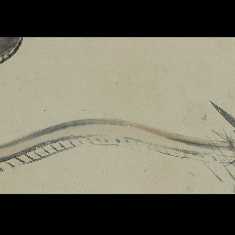 70 松村景文「蛇図」紙本 肉筆 松村呉春師事 四条派 掛軸 | 三梨 art