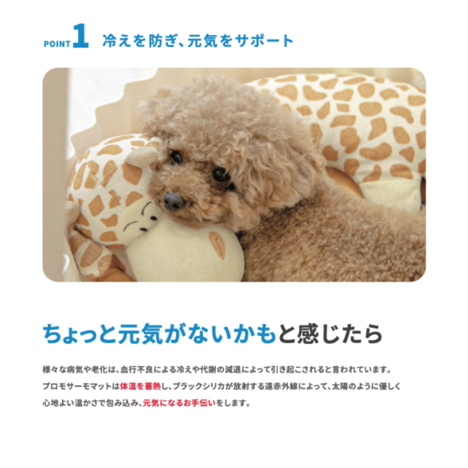 67d17d4f6d097be3143a4b01