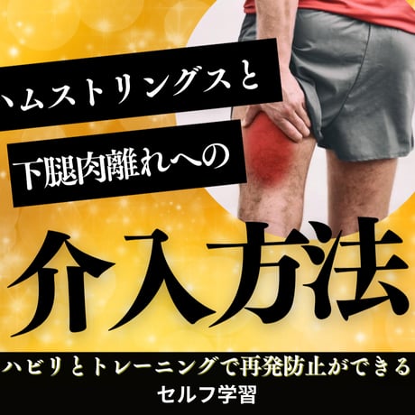 セルフ学習講座：ハムストリングスと下腿肉離れの介入方法