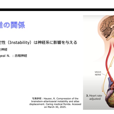 セルフ学習講座：上半身のパフォーマンス向上〜下半身からの力の伝達をどう活かすか〜