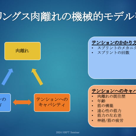 セルフ学習講座：ハムストリングスと下腿肉離れの介入方法