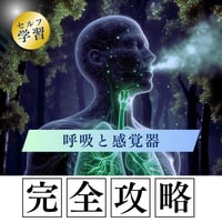 セルフ学習講座：呼吸と感覚器