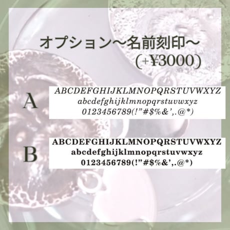 SILVER ACCESSORY