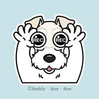 シュナウザー風(ホワイト)