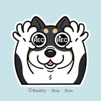 日本犬風(黒)※訳あり