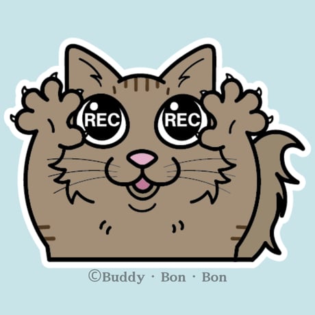 キジトラ猫 | STORES