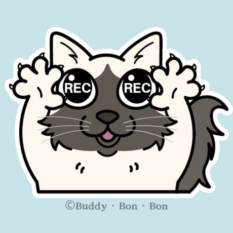 シャム猫 | STORES シャム猫 | STORES