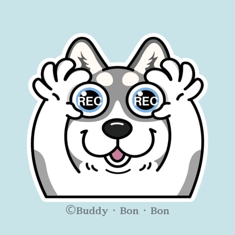 シベリアンハスキー | STORES