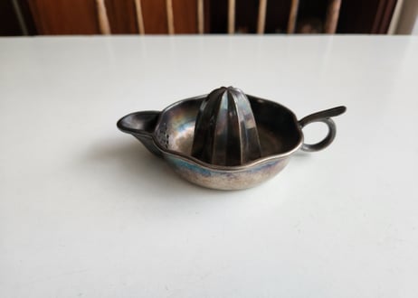 gallery 白木蓮