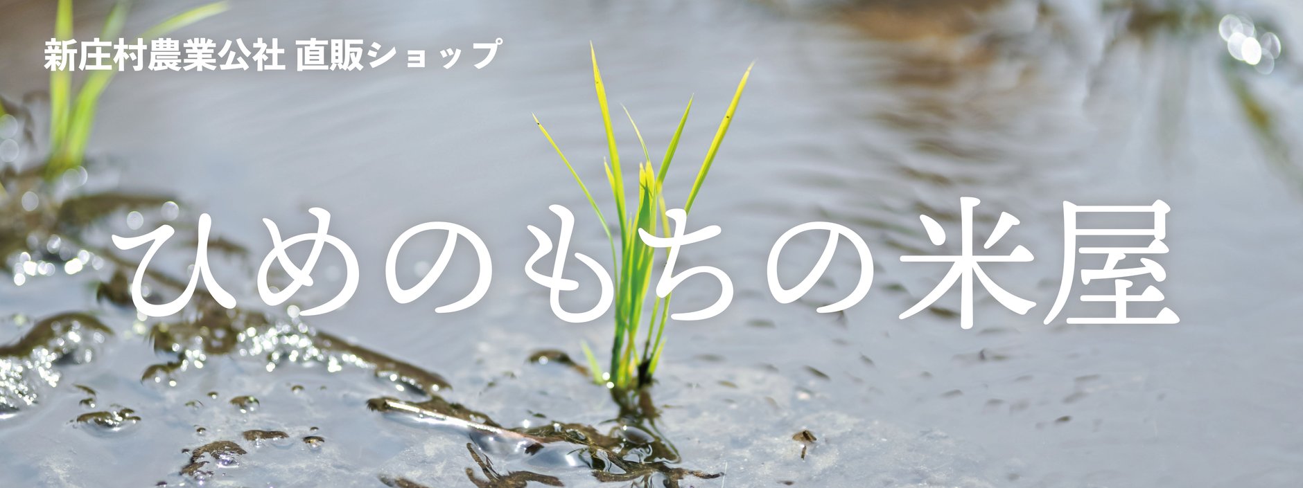 ひめのもちの米屋｜新庄村農業公社