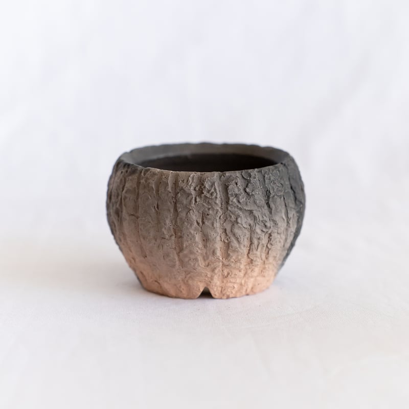 出口結莉 陶器鉢 草窯焼植木鉢 作家鉢 植木鉢 鉢 塊根植物 多肉植物