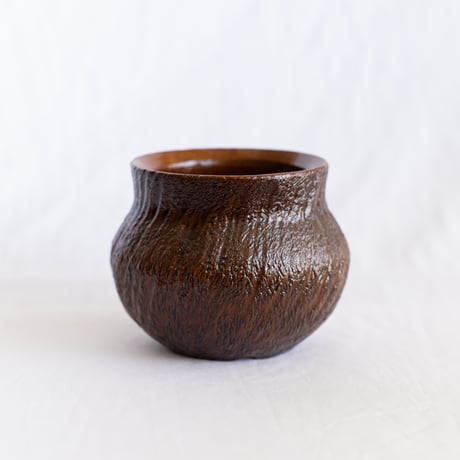 出口結莉 陶器鉢 陶胎漆器 作家鉢 植木鉢 鉢 塊根植物 多肉植物 珍奇植物 静岡 ANTIDOTE 通販 SP101