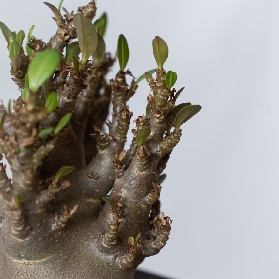 69fc1c3f4e941c2fb971469f
