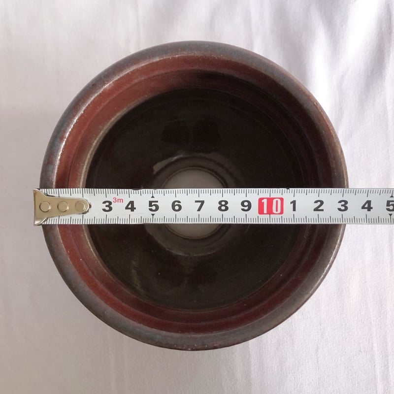 保田修作 陶器鉢 鉢 塊根植物 多肉植物 珍奇植物 静岡 ANTIDOTE 通販