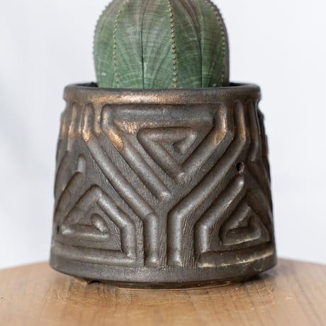 ユーフォルビア オベサ 鉢セット オス株 雄株 美株 Euphorbia obesa 多肉植物 珍奇植物 静岡 ANTIDOTE 通販 S1328