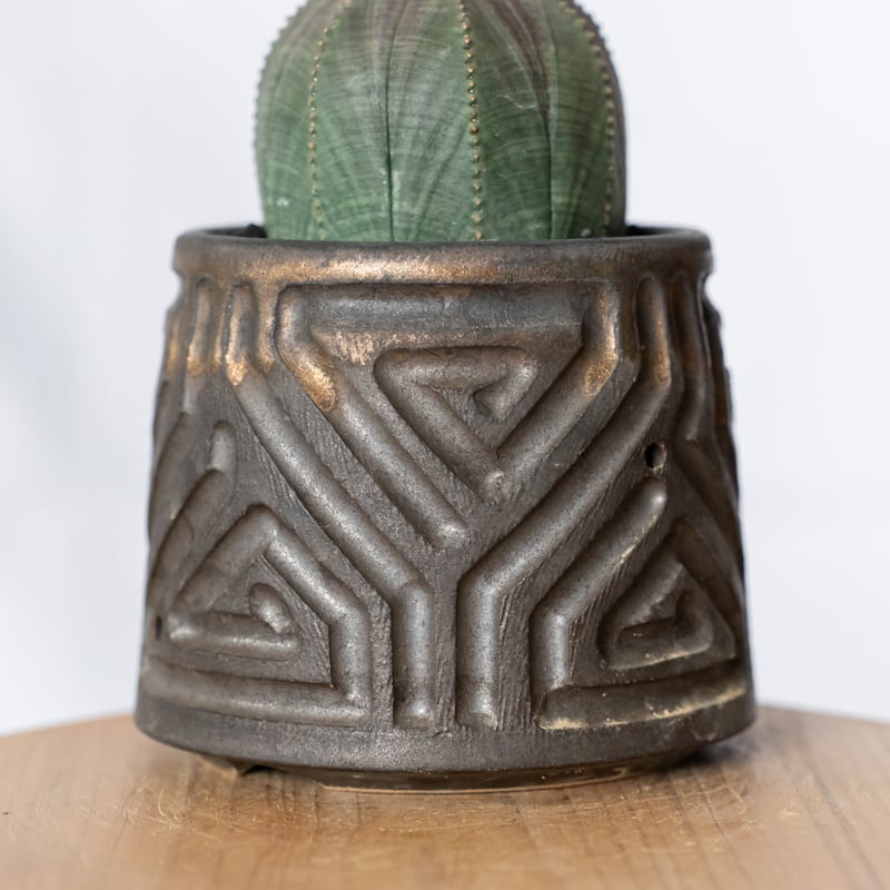 ユーフォルビア オベサ 鉢セット オス株 雄株 美株 Euphorbia obesa