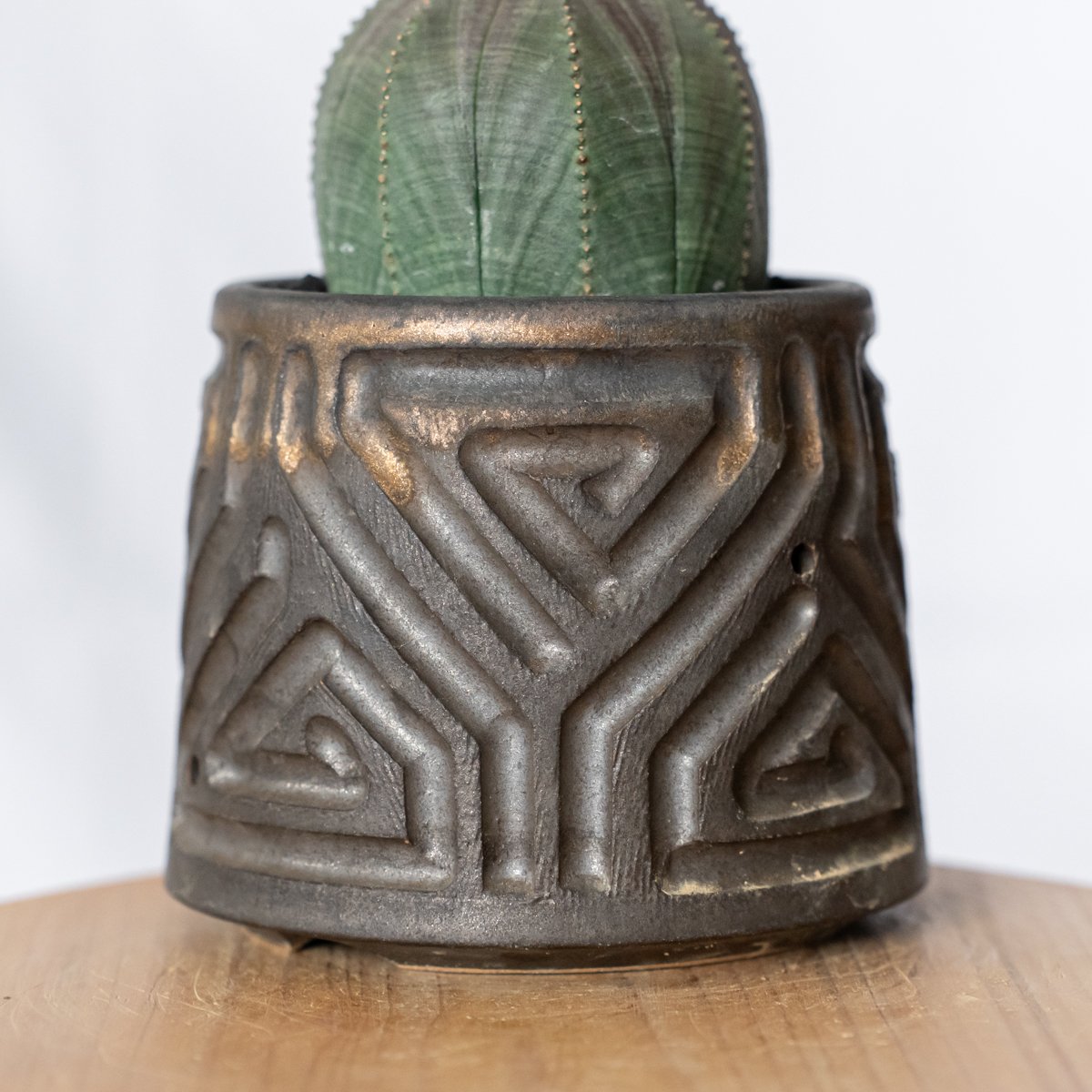 ユーフォルビア オベサ 鉢セット オス株 雄株 美株 Euphorbia obesa