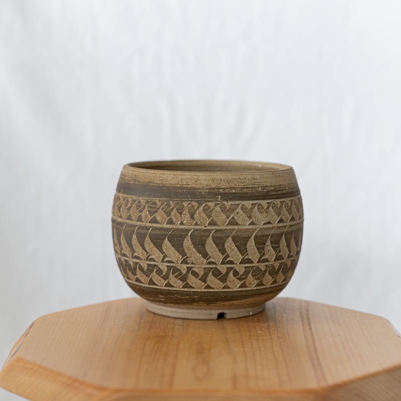 保田修作×rimwork 陶器鉢 鉢 塊根植物 多肉植物 珍奇植物 静岡