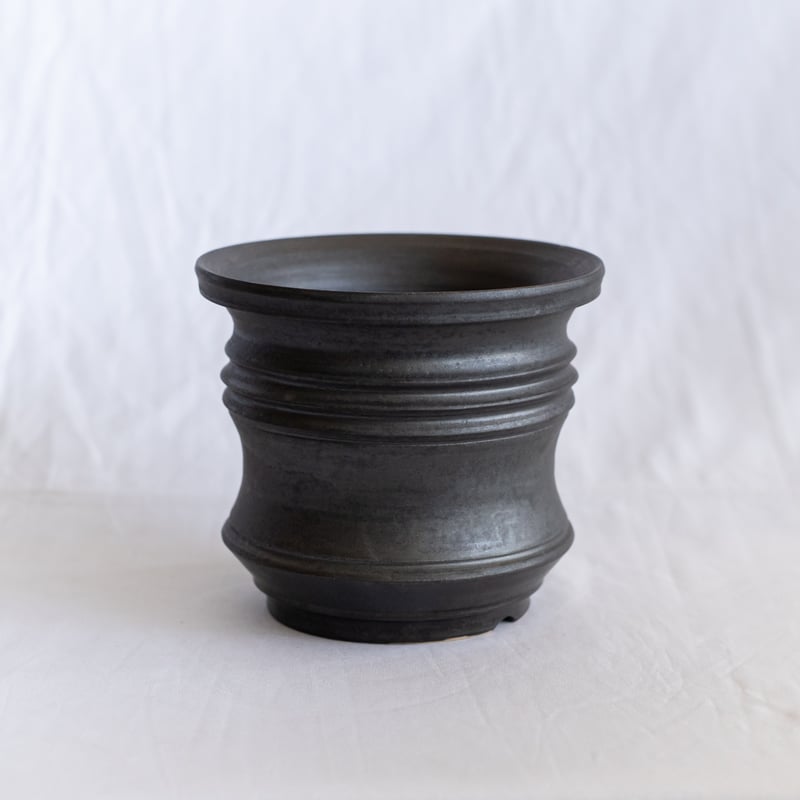 subamenotsu工房 陶器鉢 作家鉢 植木鉢 塊根植物 多肉植物 珍奇植物