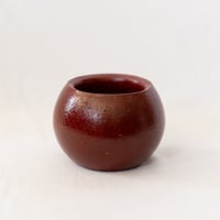 出口結莉 陶器鉢 陶胎漆器 作家鉢 植木鉢 鉢 塊根植物 多肉植物 珍奇植物 静岡 ANTIDOTE 通販 SP49
