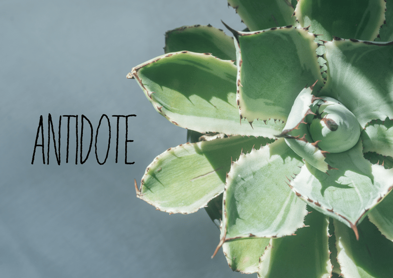 タペストリー チュニジア モロッコ タペストリー チュニジア モロッコ