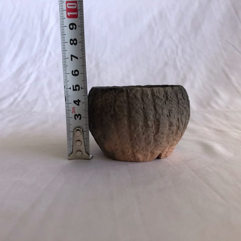 出口結莉 陶器鉢 草窯焼植木鉢 作家鉢 植木鉢 鉢 塊根植物 多肉植物