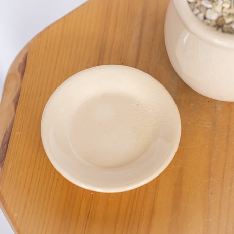 ギムノカリキウム ヒボタン 緋牡丹 鉢セット サボテン 多肉植物 静岡 ANTIDOTE 通販 S1174