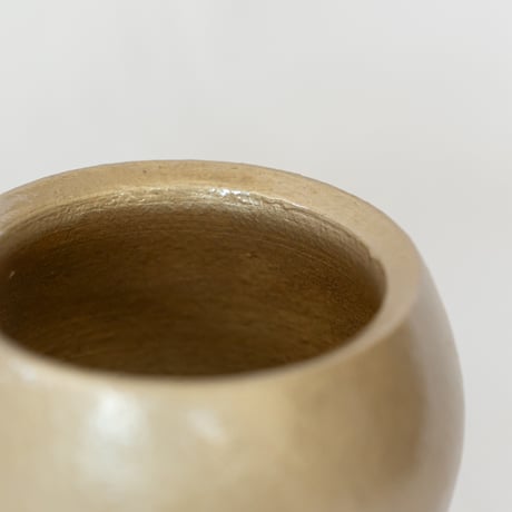 出口結莉 陶器鉢 陶胎漆器 作家鉢 植木鉢 鉢 塊根植物 多肉植物 珍奇植物 静岡 ANTIDOTE 通販 SP45