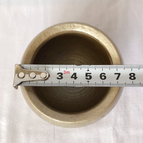出口結莉 陶器鉢 陶胎漆器 作家鉢 植木鉢 鉢 塊根植物 多肉植物 珍奇植物 静岡 ANTIDOTE 通販 SP45