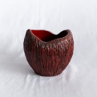 出口結莉 陶器鉢 陶胎漆器 作家鉢 植木鉢 鉢 塊根植物 多肉植物 珍奇植物 静岡 ANTIDOTE 通販 SP145