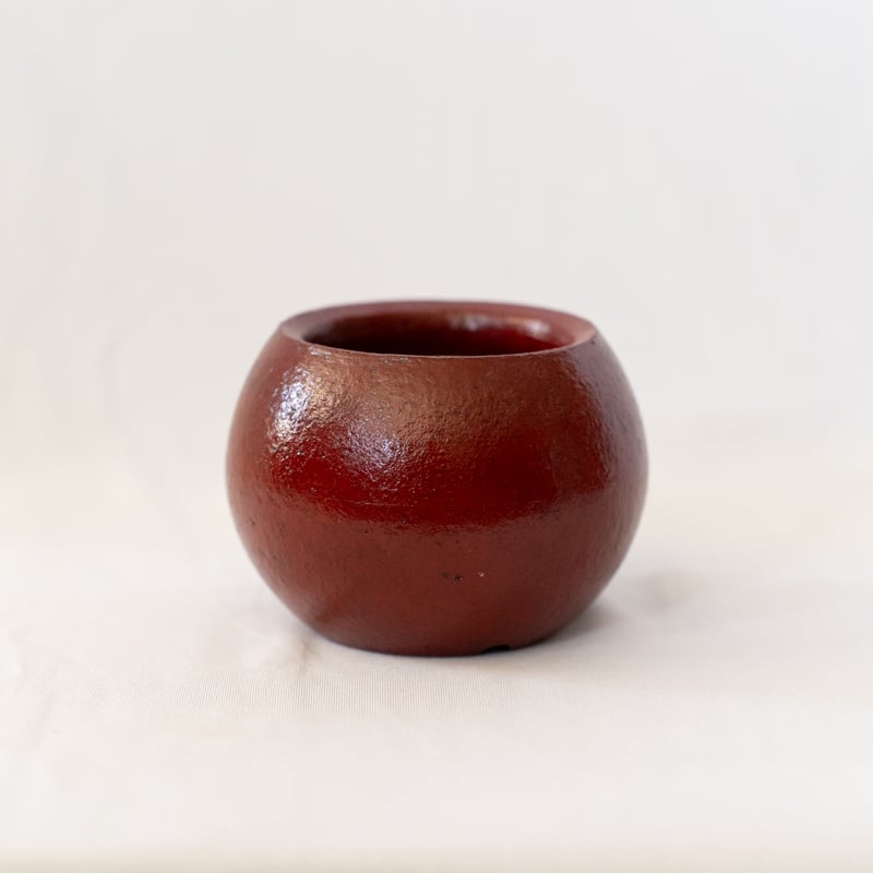 出口結莉 陶器鉢 陶胎漆器 作家鉢 植木鉢 鉢 塊根植物 多肉植物 珍奇