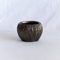 出口結莉 陶器鉢 陶胎漆器 作家鉢 植木鉢 鉢 塊根植物 多肉植物 珍奇植物 静岡 ANTIDOTE 通販 SP97