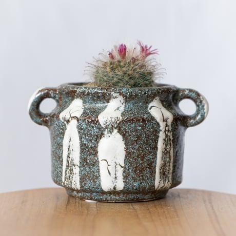 マミラリア グラッシー 鉢セット Mammillaria glassii サボテン 多肉植物 珍奇植物 静岡 ANTIDOTE 通販 S1405