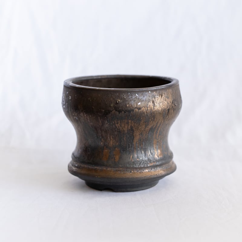 subamenotsu工房 陶器鉢 作家鉢 植木鉢 塊根植物 多肉植物 珍奇植物