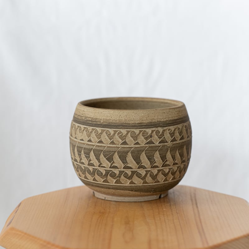 保田修作×rimwork 陶器鉢 鉢 塊根植物 多肉植物 珍奇植物 静岡