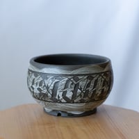 保田修作×rimwork 陶器鉢 鉢 塊根植物 多肉植物 珍奇植物 静岡