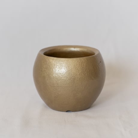 出口結莉 陶器鉢 陶胎漆器 作家鉢 植木鉢 鉢 塊根植物 多肉植物 珍奇植物 静岡 ANTIDOTE 通販 SP45