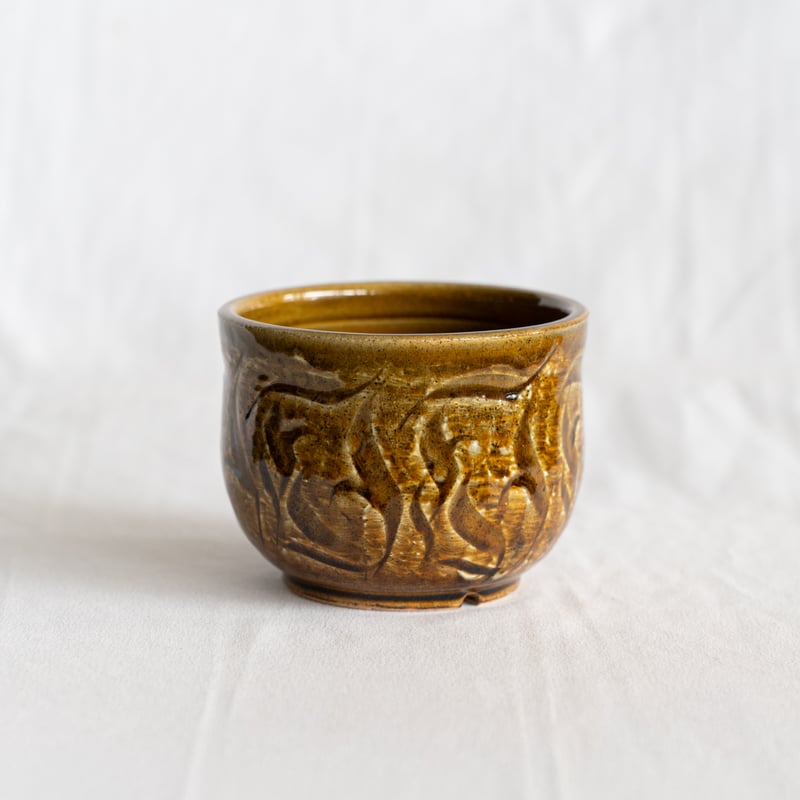 保田修作×rimwork 陶器鉢 鉢 塊根植物 多肉植物 珍奇植物 静岡