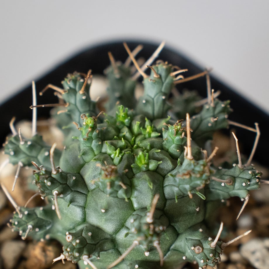 69f182ae9dd503b0f516eacd